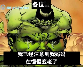 慢点（9gag）今日meme[超话]今日memes ​​​