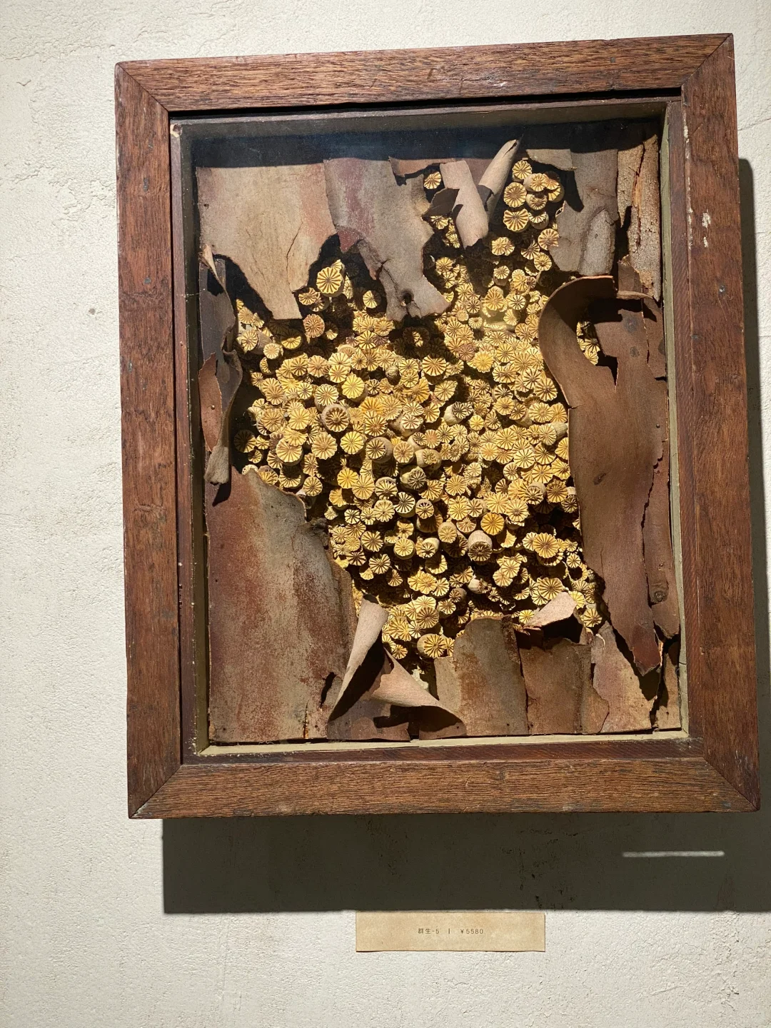 这是所有压花爱好者都不能错过的展！！！