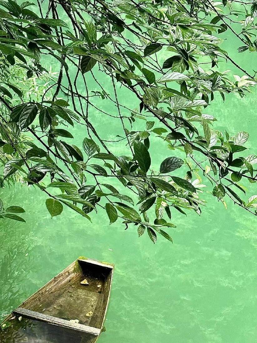当时因为我们地处的环境和条件比较艰苦，觉得城市里边的条件会更好一些，所以就将孩子