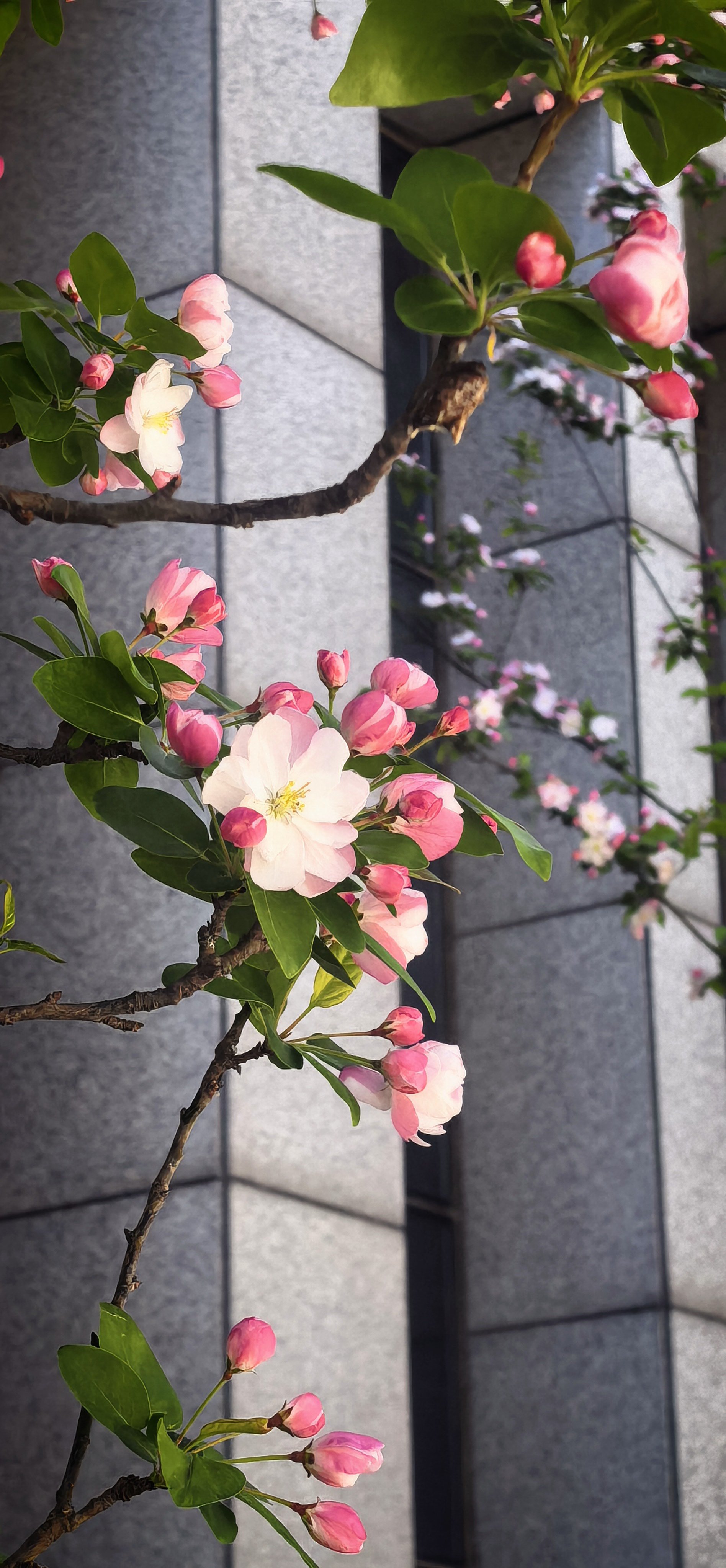 【谈判！伊朗：伊美谈判将于10日在伊斯兰堡开始】伊朗：伊美谈判将于10日在伊斯兰