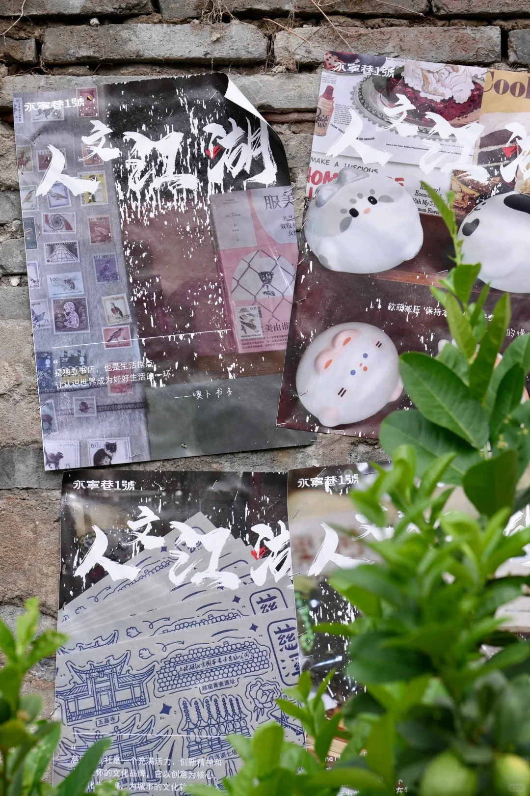 宁波的朋友收到通知了吗，永宁巷开市了❗️