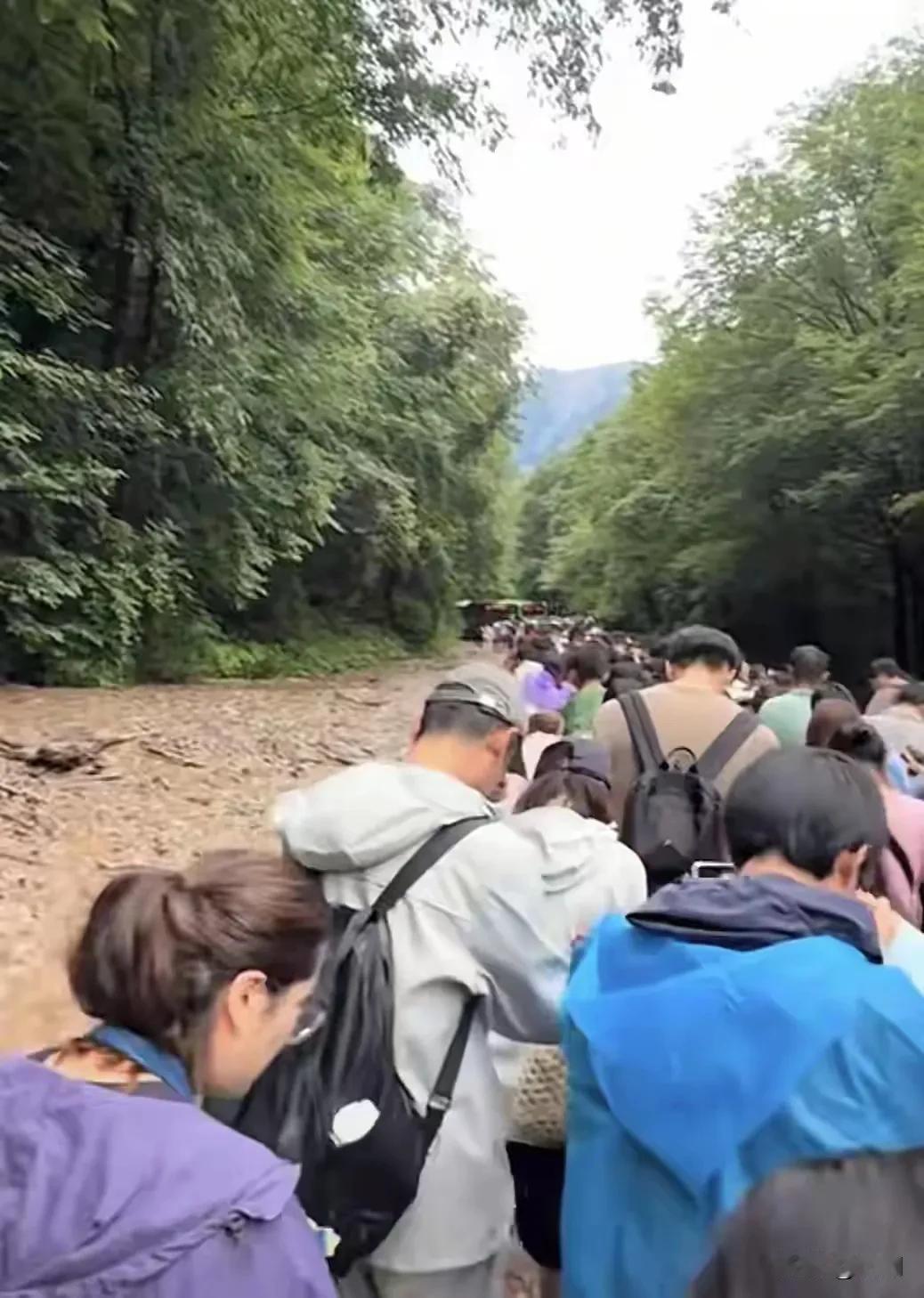 好消息，九寨沟称为了答谢游客谅解连续两天门票免费；坏消息，2万张门票已经全部被预