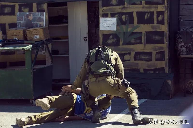 3月20日，一个叫“地震派”的反以色列组织袭击并烧毁了捷克一处生产以色列无人机的