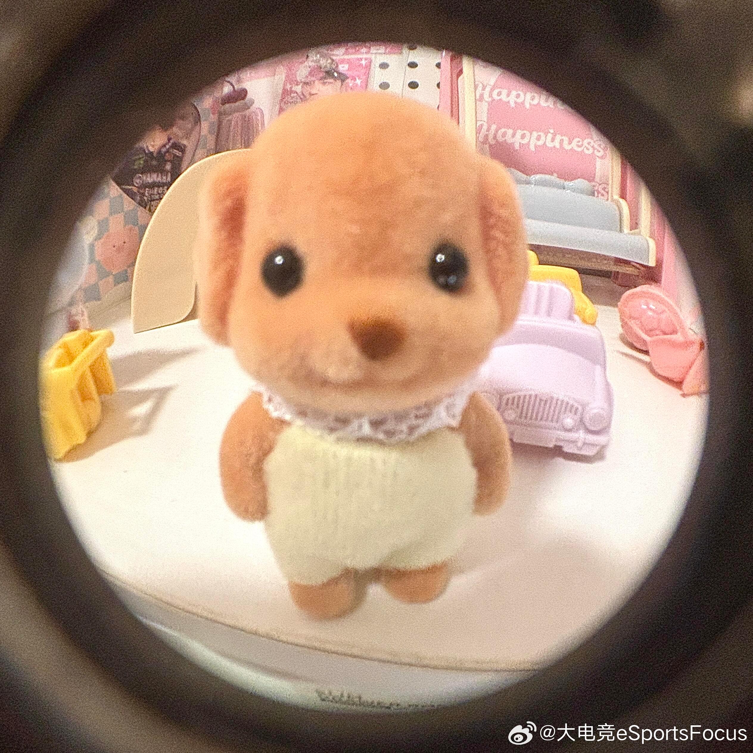 晚上好～你最期待今晚哪一场比赛呢？大电竞分享 ​​​
