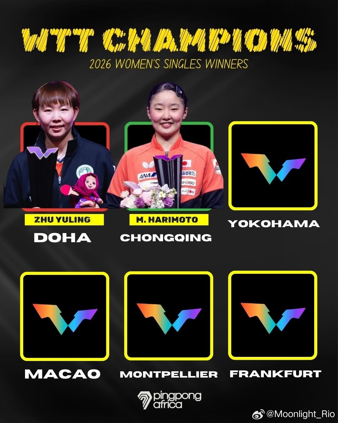 2026年WTT冠军赛 单打冠军榜🏆 