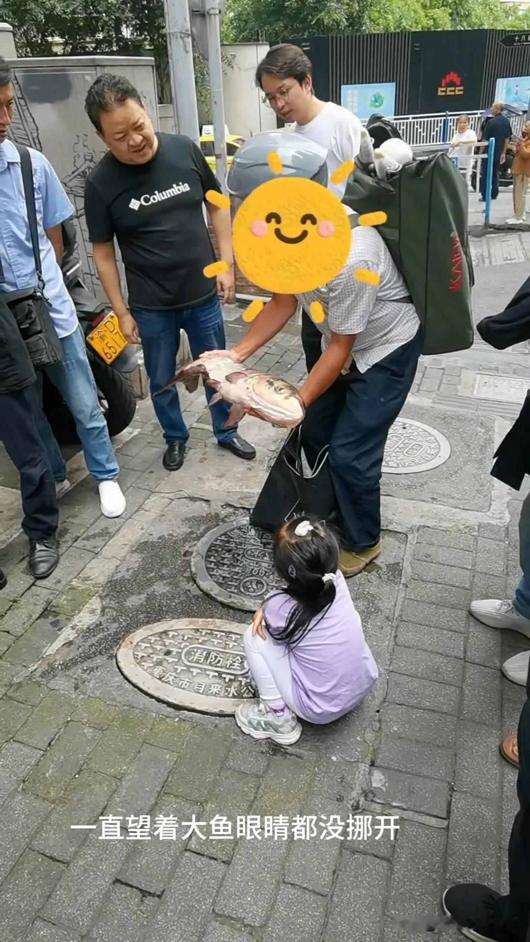 重庆长江的鱼长这么大了。大头鱼，十几斤。看得小朋友都流口水了。
