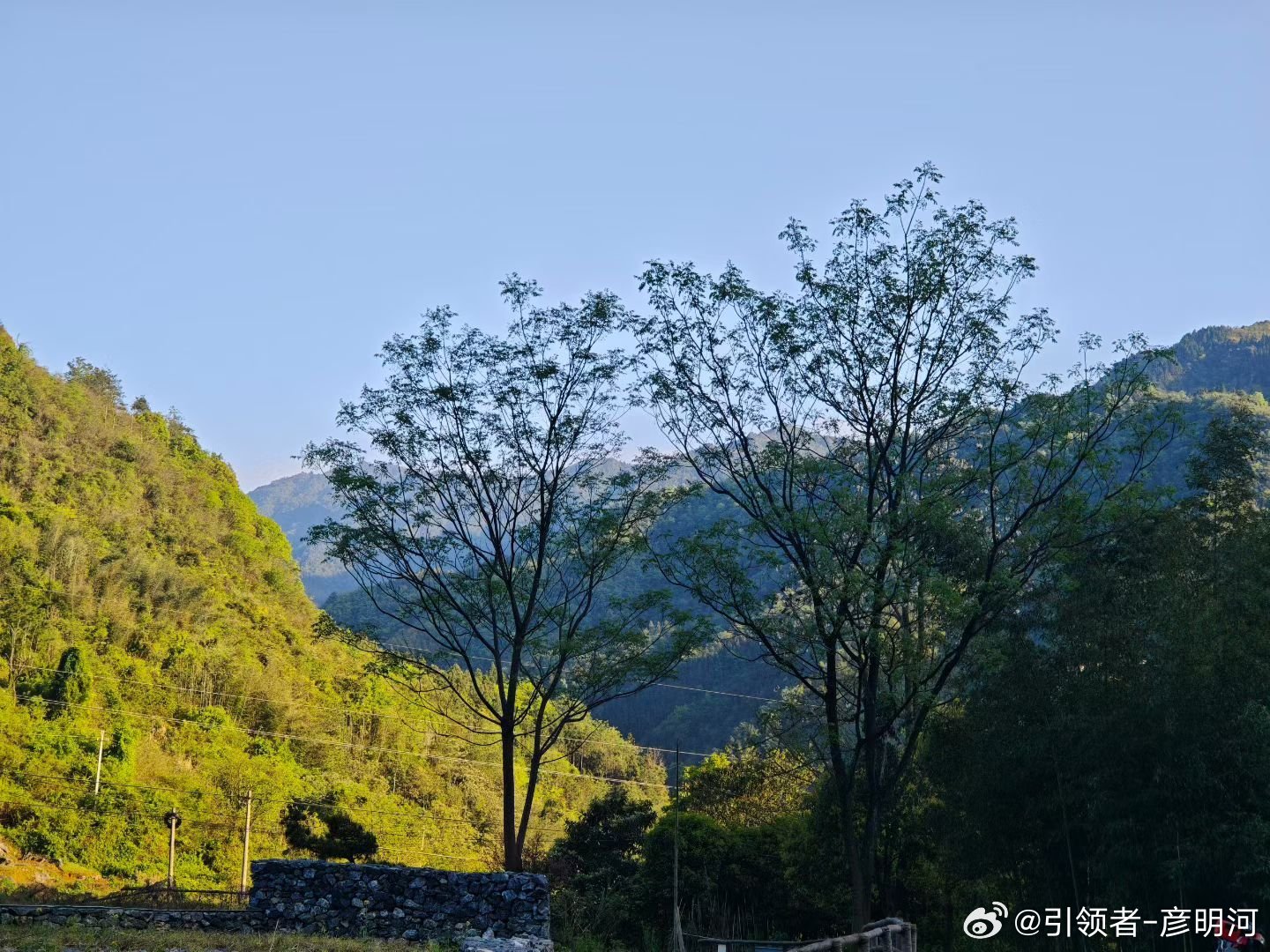 清明时节雨纷纷，路上行人欲断魂。初读不知诗中意再读便是诗中人难得早上有太阳，可惜
