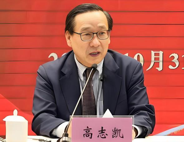 在和蔡正元的一次访谈连线时，高志凯说了一句掷地有声的话：哪怕2300万人个个都反