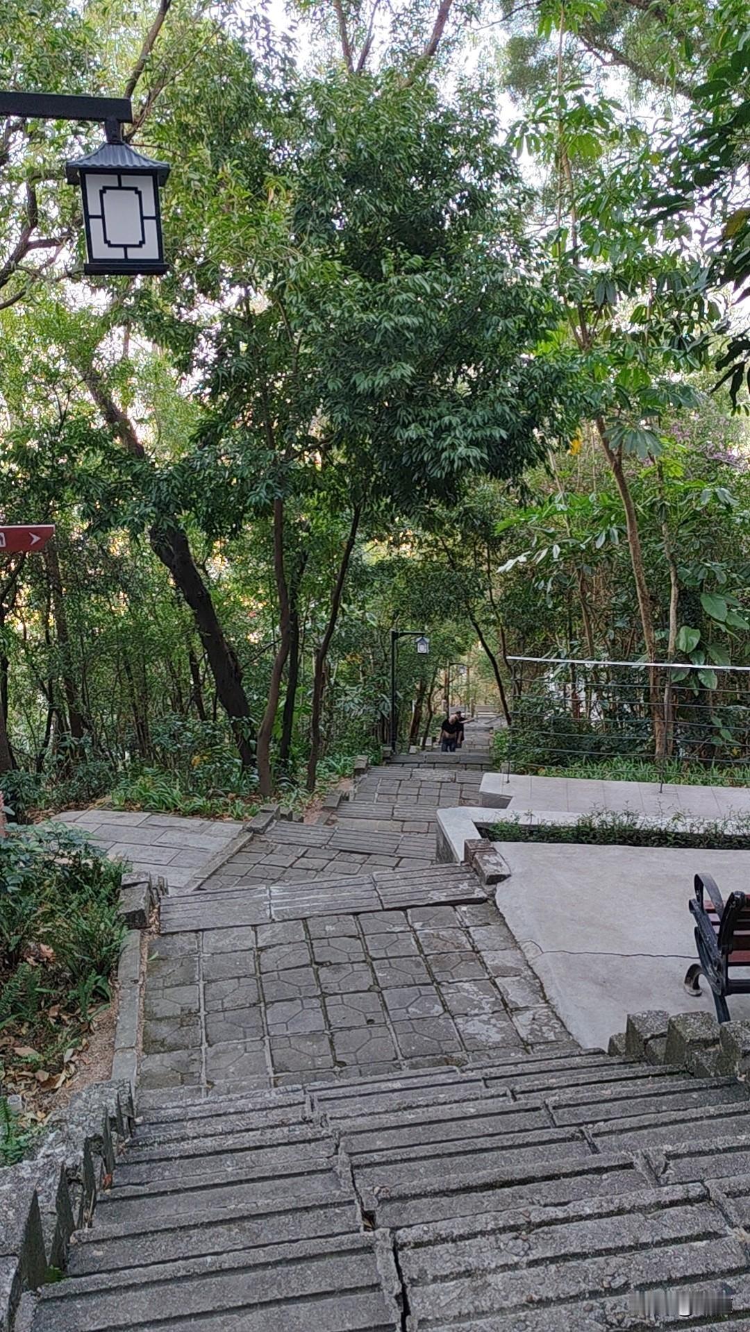 刚刚读了苗京京的一篇小文，说她朋友突然转给她50块钱，一问才知道是她朋友上街买肉