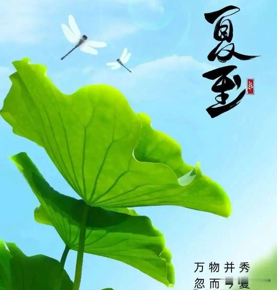 🌼²⁰²⁶/₀₆.₂₁ᵕ̈ 周日早安｜夏至🌿
🍃𝐆𝐨𝐨𝐝 𝐌𝐨