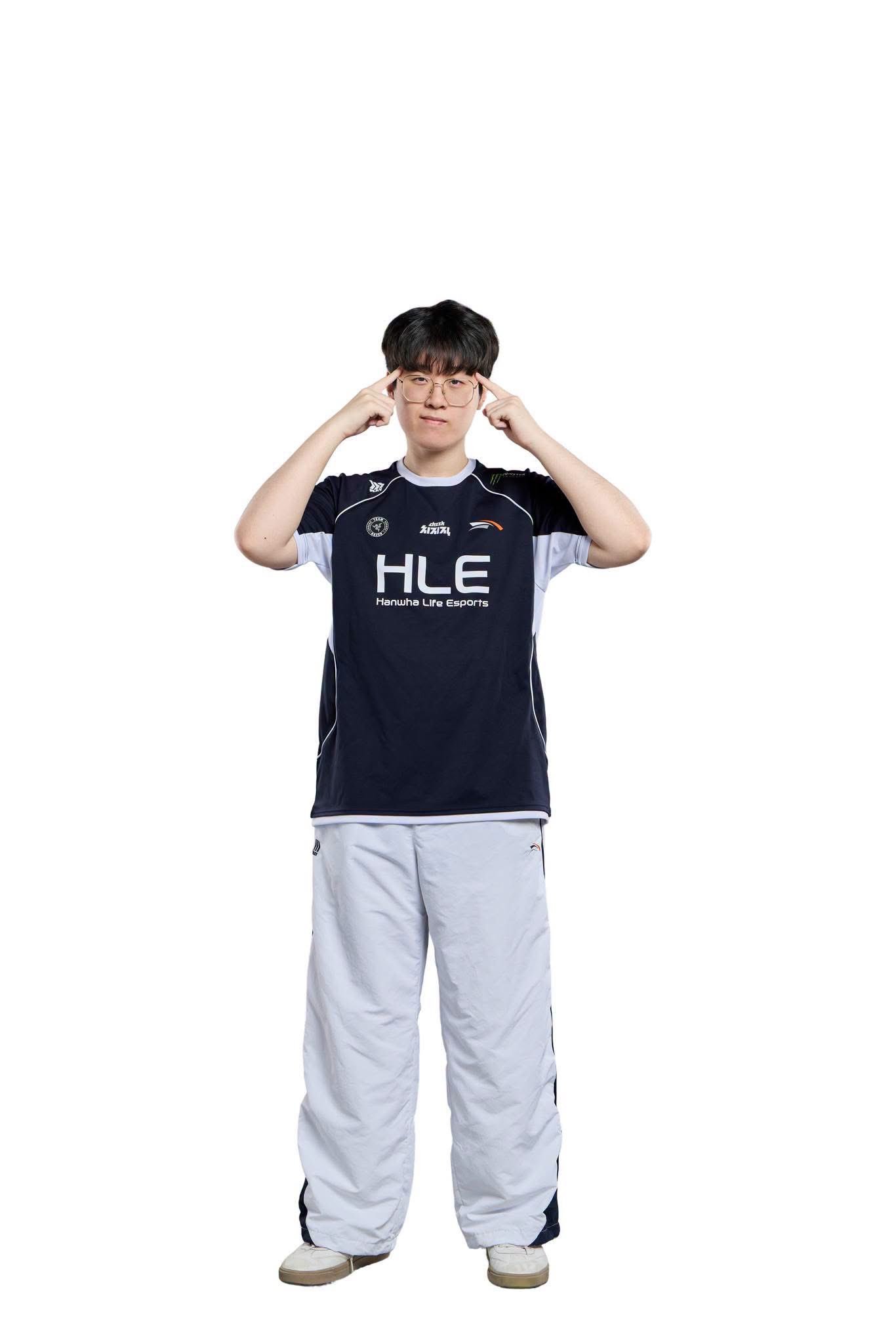 老鼠干绝佳素材 （不是cr 网页链接