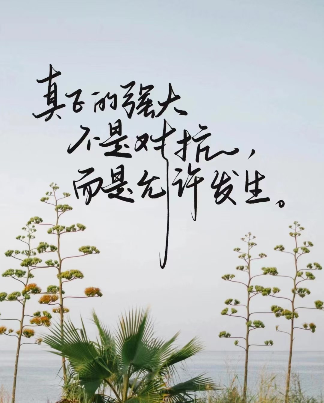 如果事与愿违请相信一切另有安排 ​​​