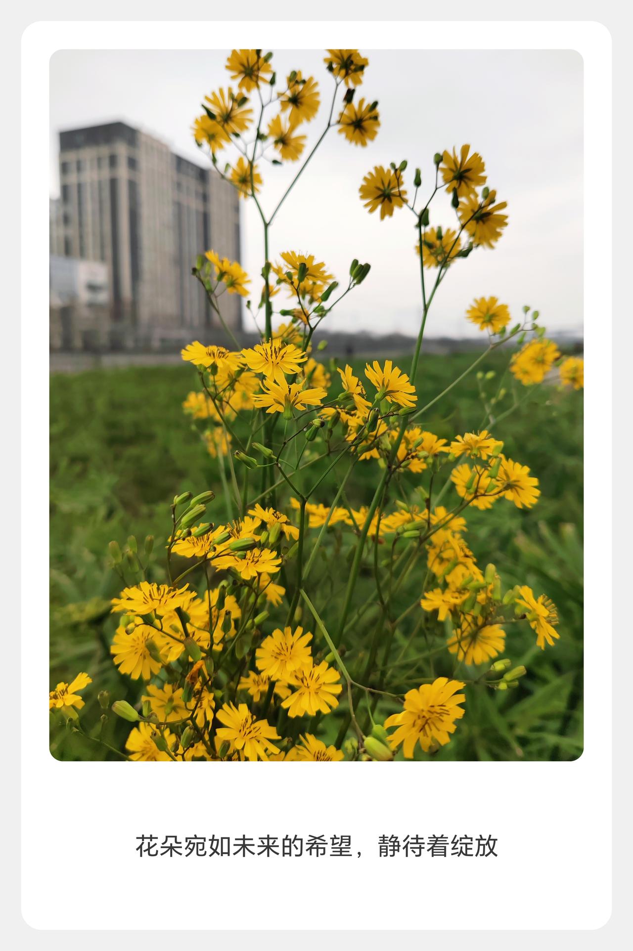 以色列：一场战争，打垮50年国运
 
2023年10月巴以冲突爆发，彻底改写以色