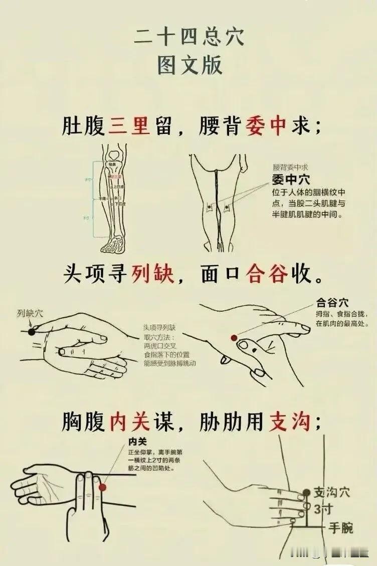 24总穴图文版！值得收藏