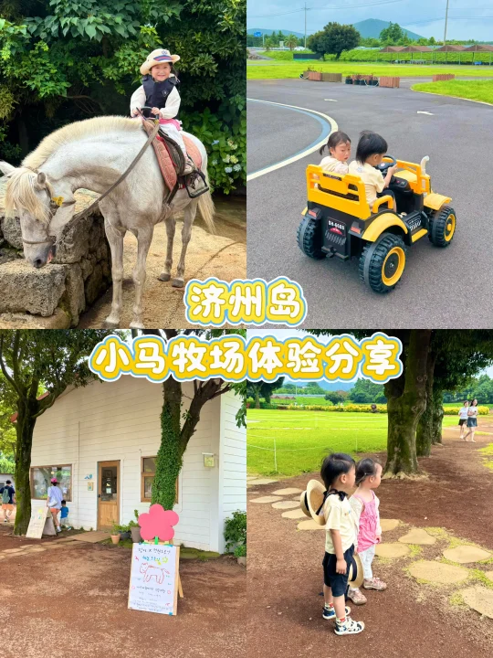 济州岛遛娃必去❗️小马牧场娃玩到不想走🐴