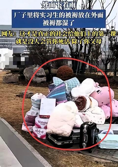 长见识了！安徽一电子厂实习生的遭遇，真的让人心里堵得慌！为了年前稳住工作、赚三倍