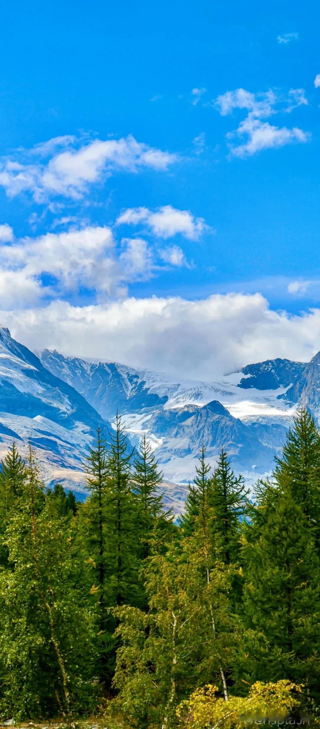 雪山下的静谧森林，大自然的壮丽画卷
雪山美景⛰️人生如一座山峰 
真正的智慧
真