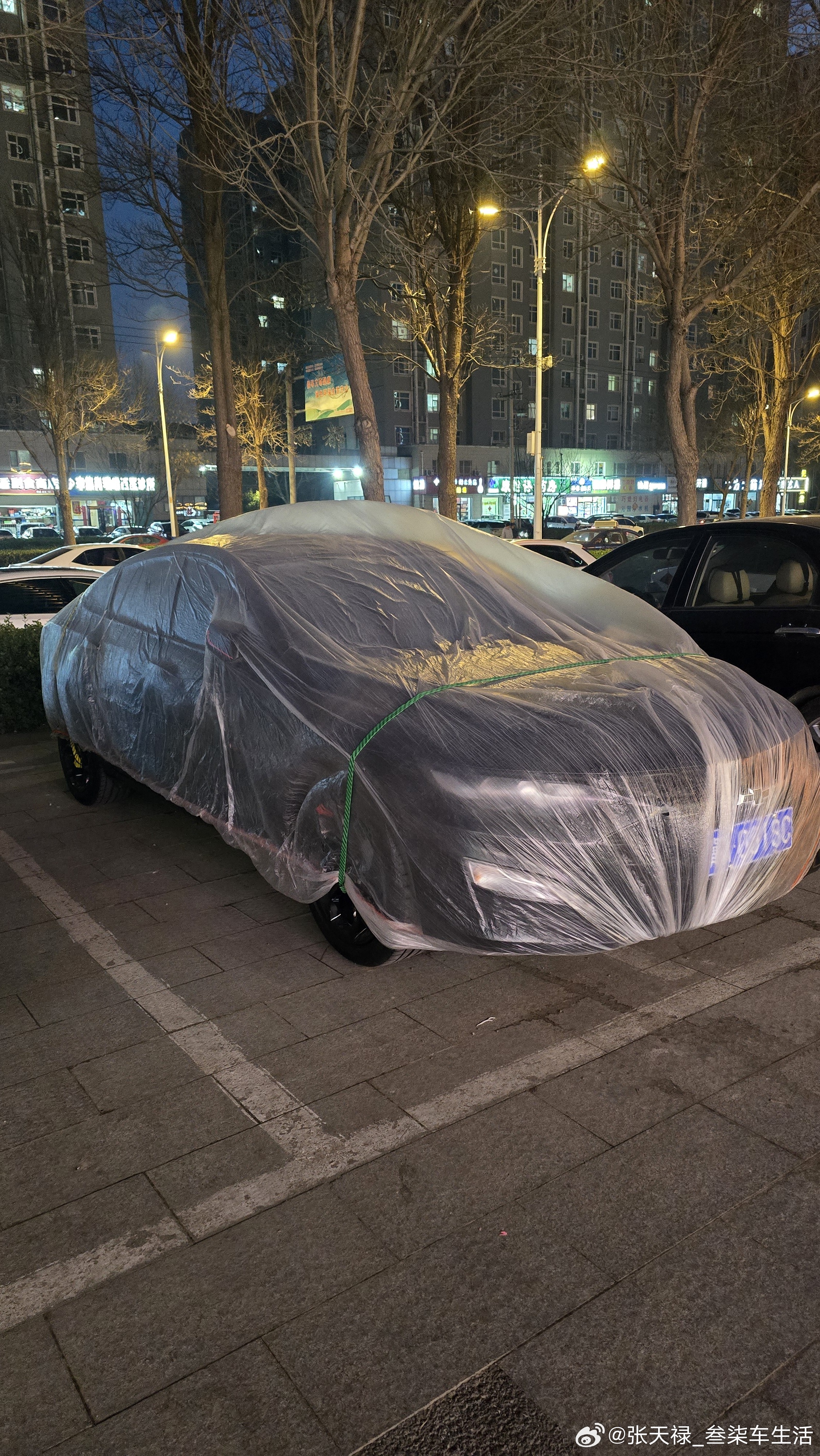 这绝对是爱车之人全民拍车