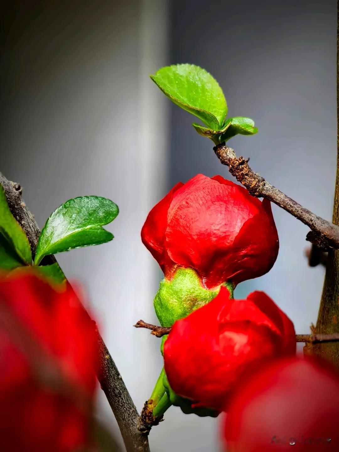 乞丐可以随时离开他的破窝，国王却很难舍弃他的宫殿。所以，有多少执著，就会有多少痛