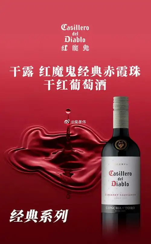 行业公司研究顶级股权企业家 智利干露集团，全球葡萄酒前五一、公司历史干露集团（V