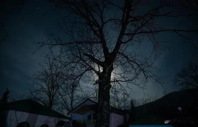 今晚没有一点睡意，已经十点半钟了，我还躺在沙发上玩手机。
无聊玩手机，玩手机更无