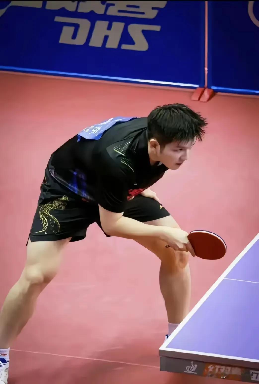 樊振东
我就喜欢看他羞涩的表情
微微一笑 如沐春光[鼓掌]