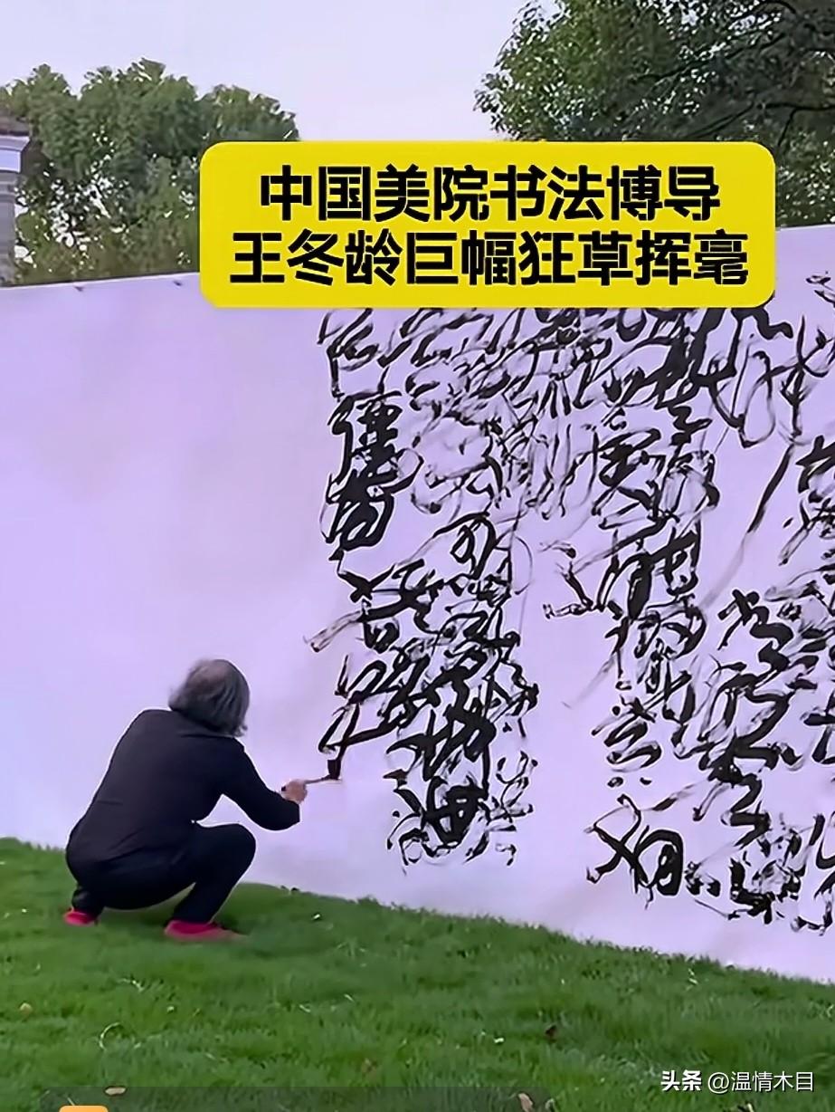 我不懂书法，但我觉得一个博导把书法写成这样，似有故弄玄虚之嫌。
草书可以写成乱草