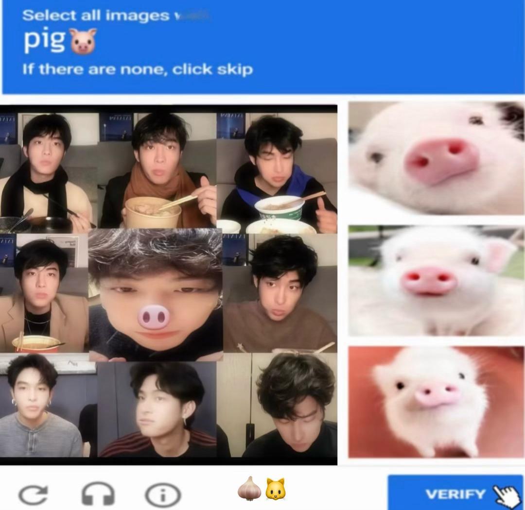 小猪是上帝派来治愈人类的小型毛绒拖拉机 