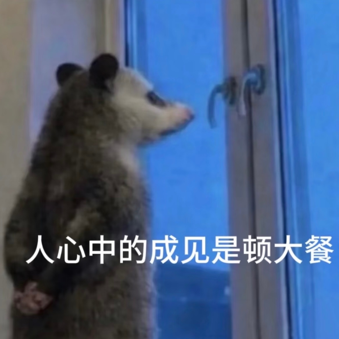 好笑  部门团建预算试用期50转正100  八个人一共才550块  打算去吃朱光