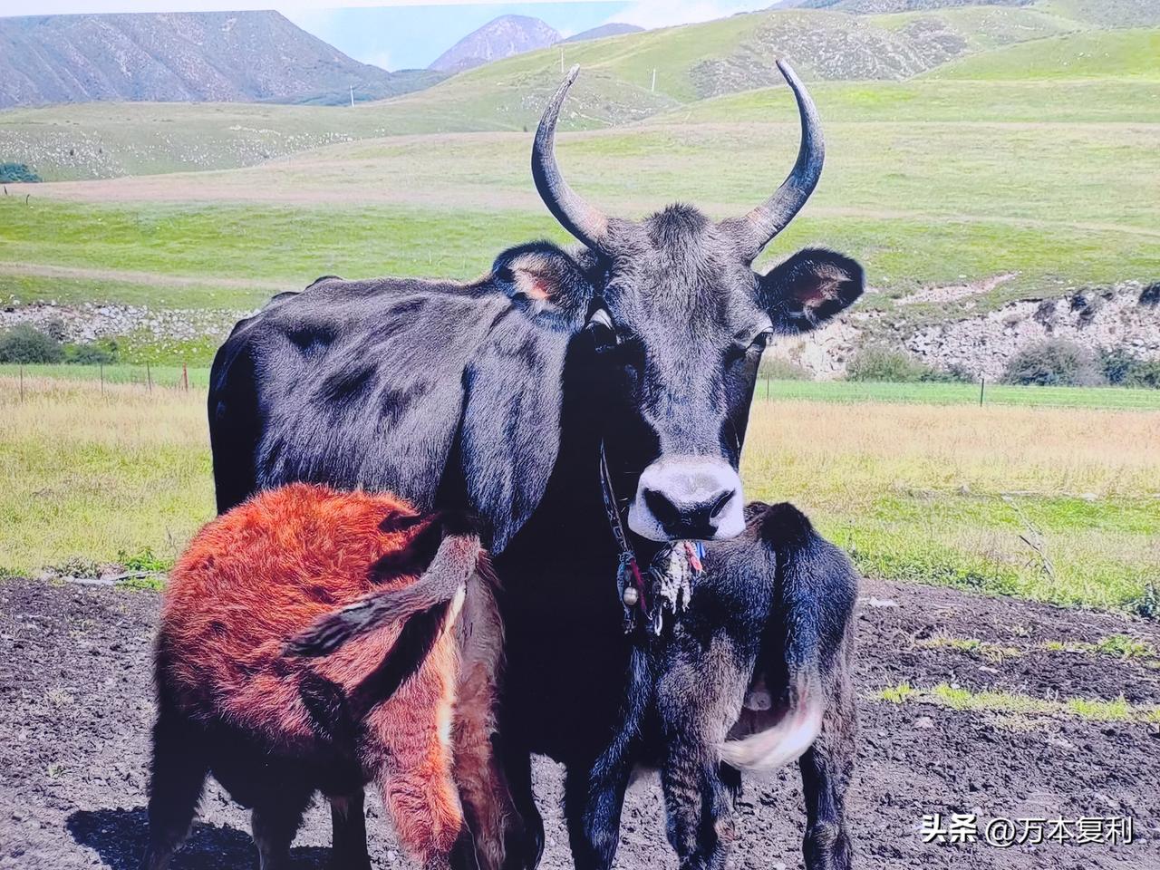 千万不要让别人知道你炒股，否则牛市容易得罪人，你们信不信?

炒股的人经常提到人