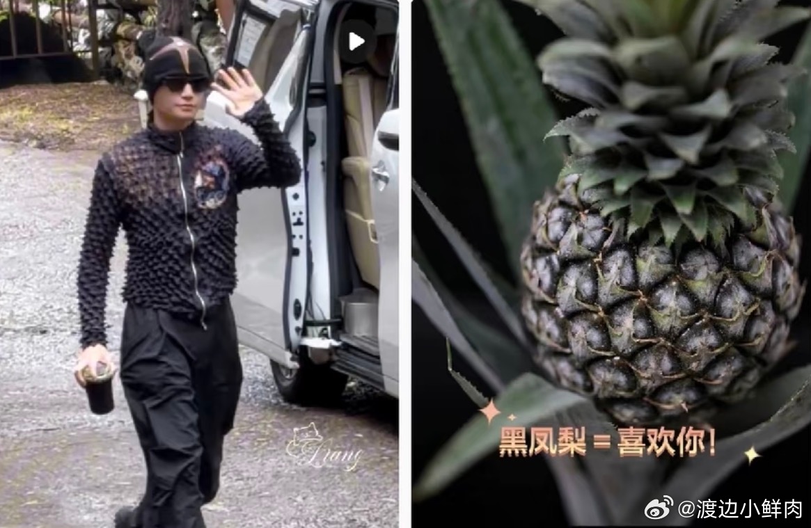 💚今天是一颗帅帅的“黑凤梨”潮男人设屹立不倒～4天4种风格，这个丁禹兮潮到我快