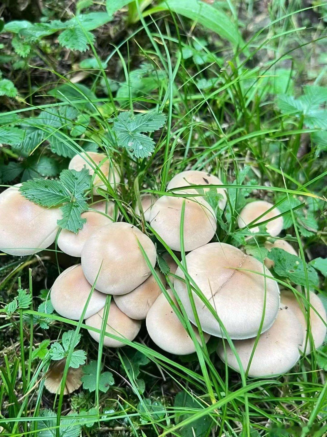 心如主人，而身似仆人。如果内心快乐，你甚至可以在最贫穷的条件下，却依然是幸福快乐