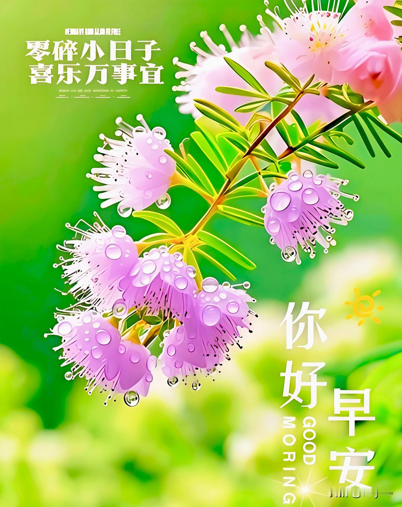 晨起沐清风，
岁岁皆清欢。
远离繁杂琐事，
静享当下美好。

生活闲适温柔，
自