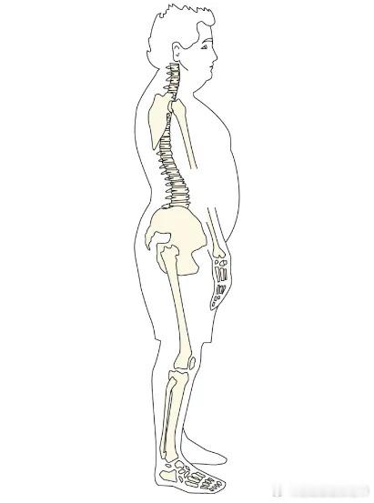 这几种不良站姿会让你腰痛  弯腰驼背/肚子往前顶/重心前移/肩膀偏向一侧……这几