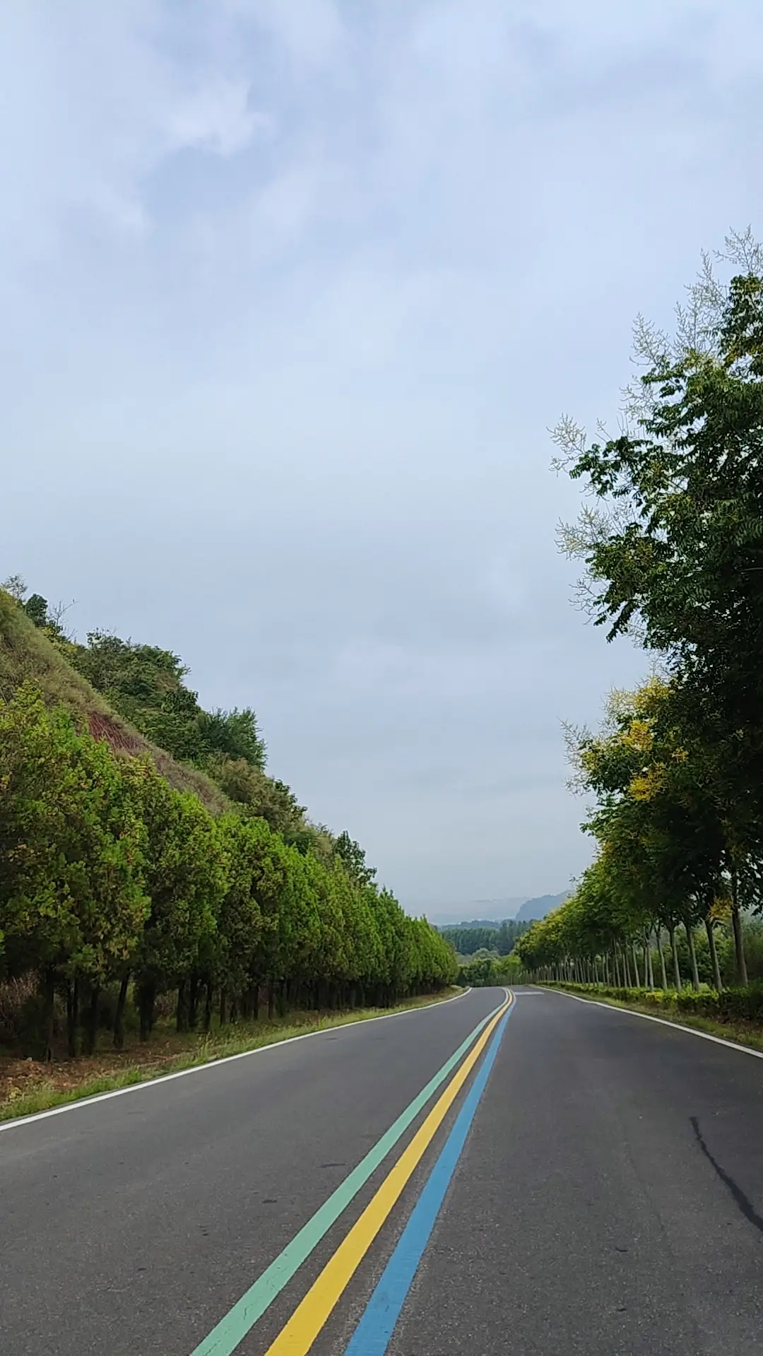 醉美黄河古都一号风景路。    路遇风景，醉美河清！