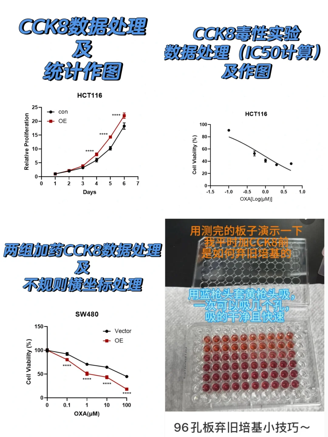 CCK8实验数据怎么处理❓