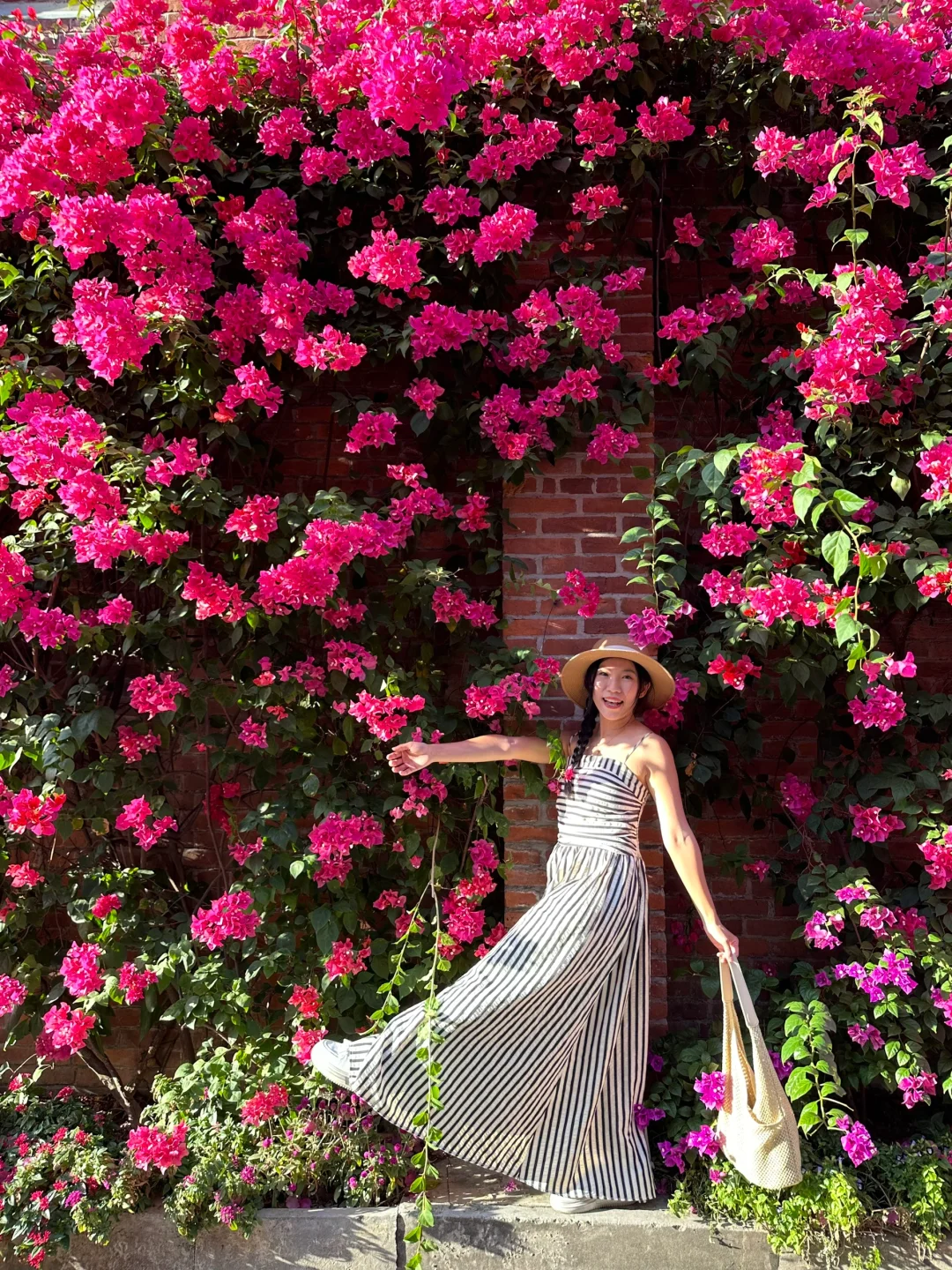 广州这片花墙瀑布又开花啦！！免费且地铁直达