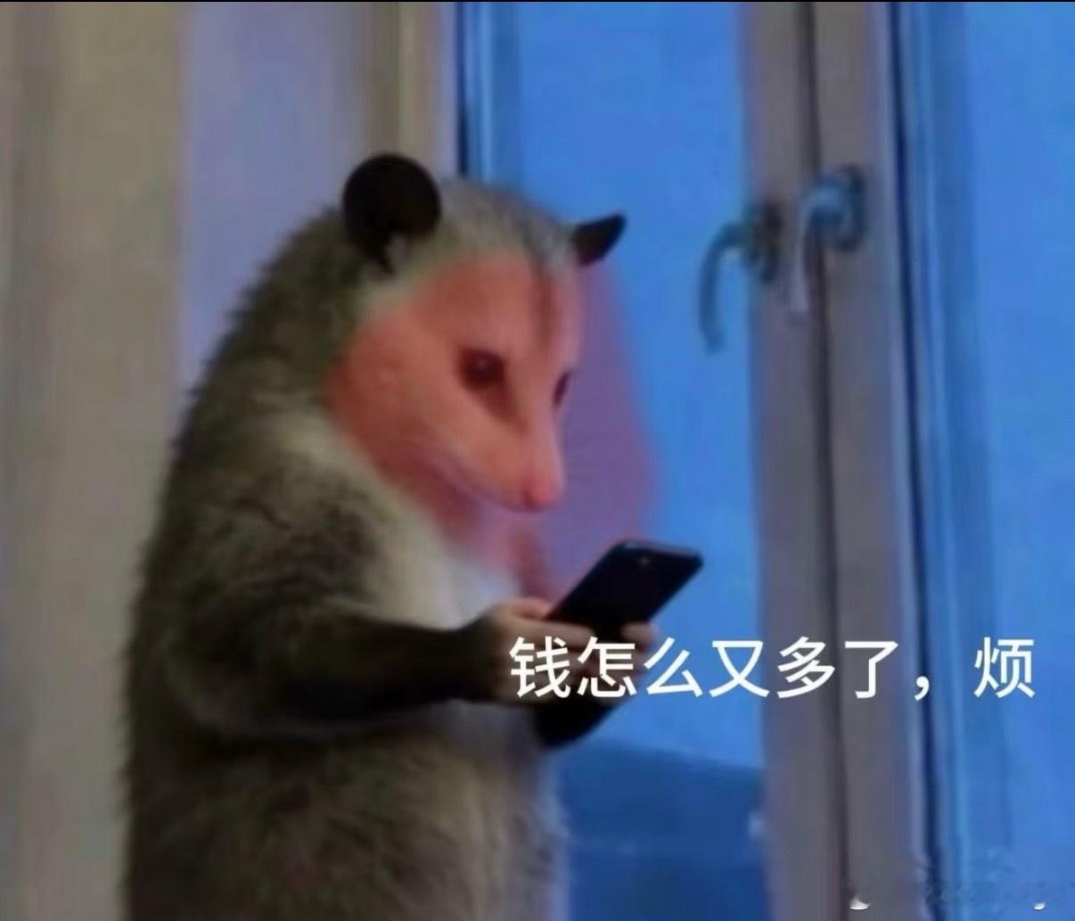 红包预告🧧本周发互动榜红包周四晚上18:00当日互动榜前100可领！记得来跟我