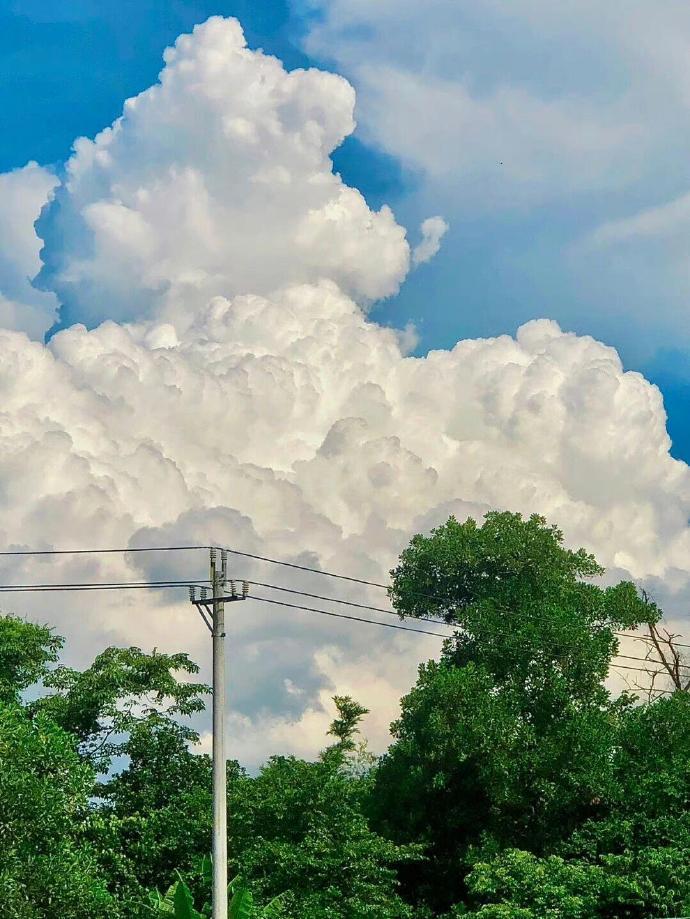 夏日的云，轻盈如梦，每一朵都承载着无尽的浪漫。☁️ ​​​