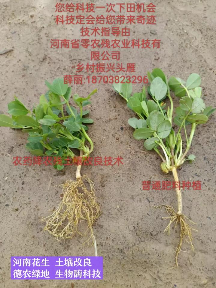 德农绿地生物酶，根据仁化县近年农业发展数据，其种植结构呈现粮食作物稳产、经济作物