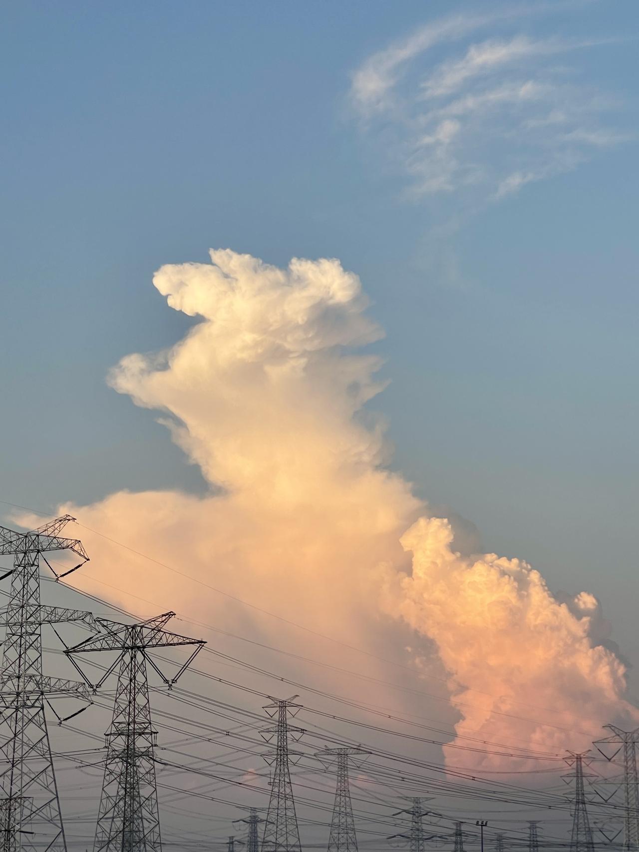 内耗与修身

周国平曾说：
成功的人会向闲人认怂，
并不是懦弱无能，
而因为他们