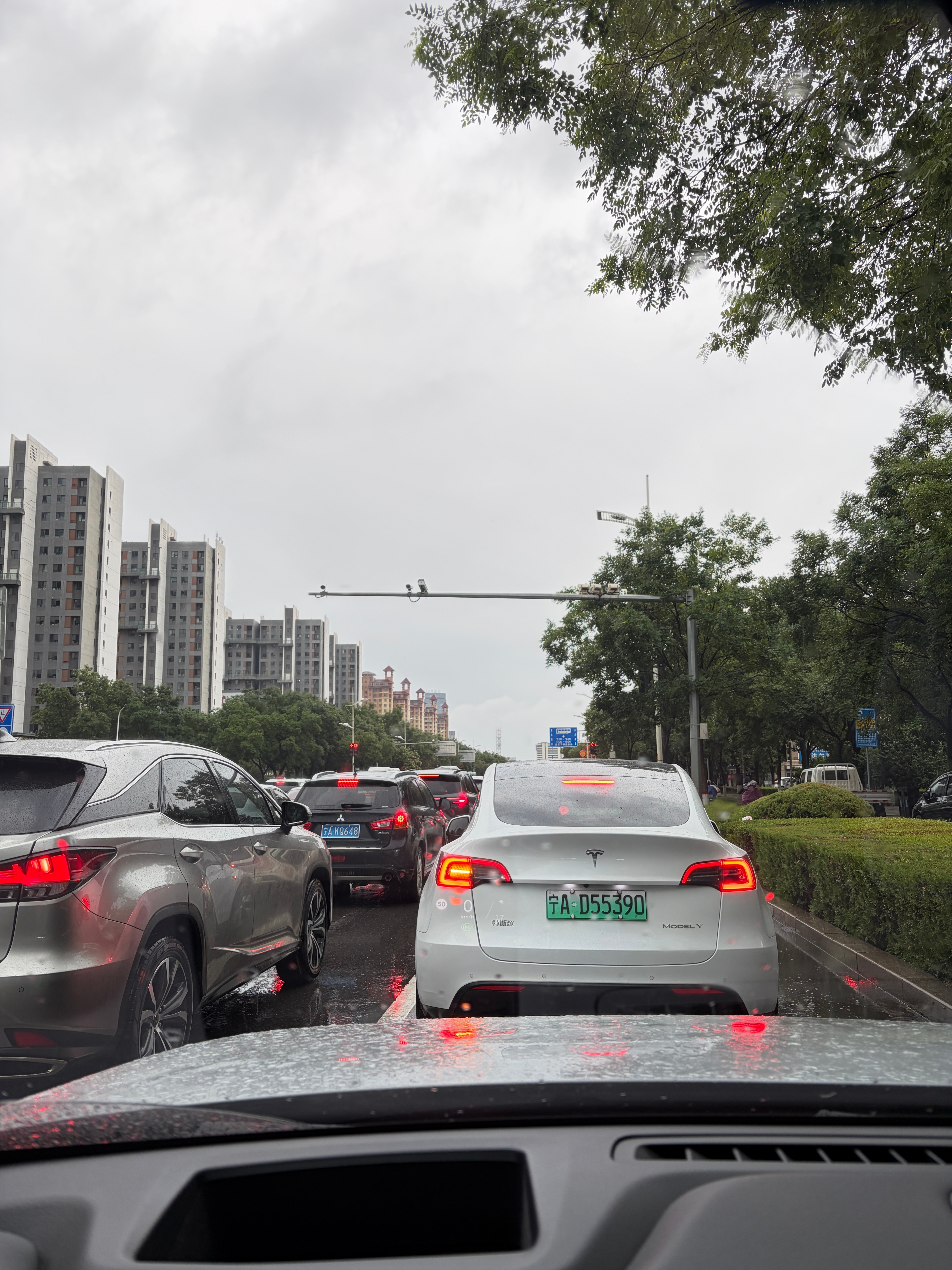 早，雨淅淅沥沥下了一夜，这会外面只有19度，不要太舒服的 