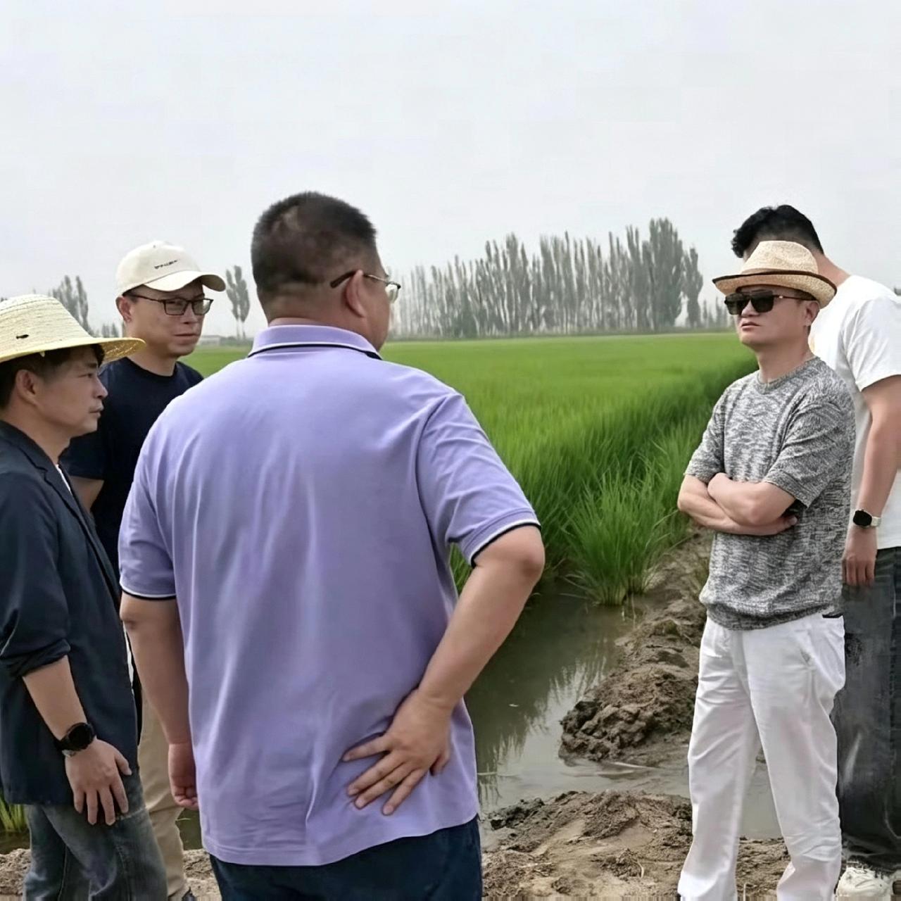 马总下乡实地考察农业项目，乡镇的书记领导都出来陪着，从商界转战田间地头，看这架势