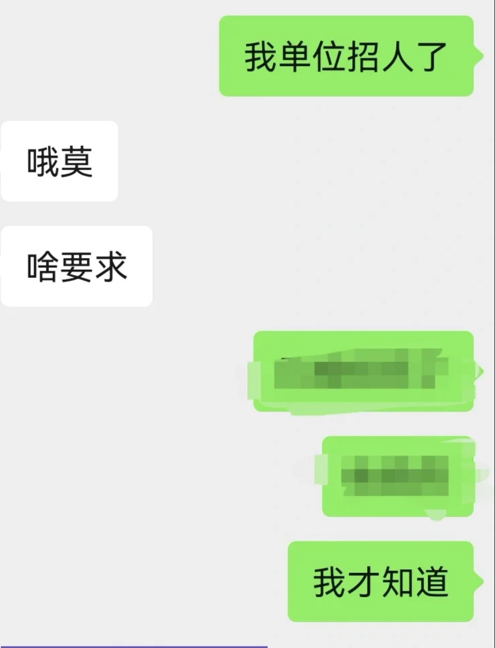 瞒着所有同事把朋友招进公司了#瞒着所有同事把朋友招进公司了##春日cityhap