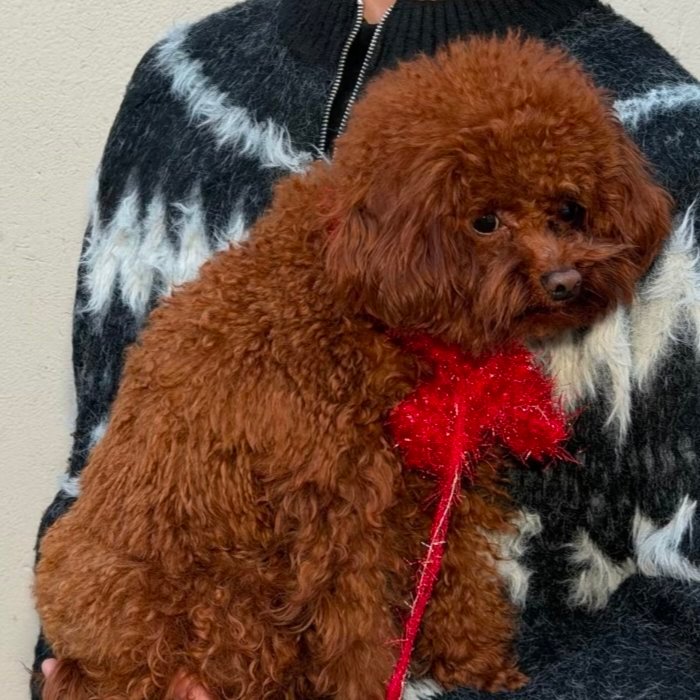 妈妈抱孩子vs爸爸抱孩子 