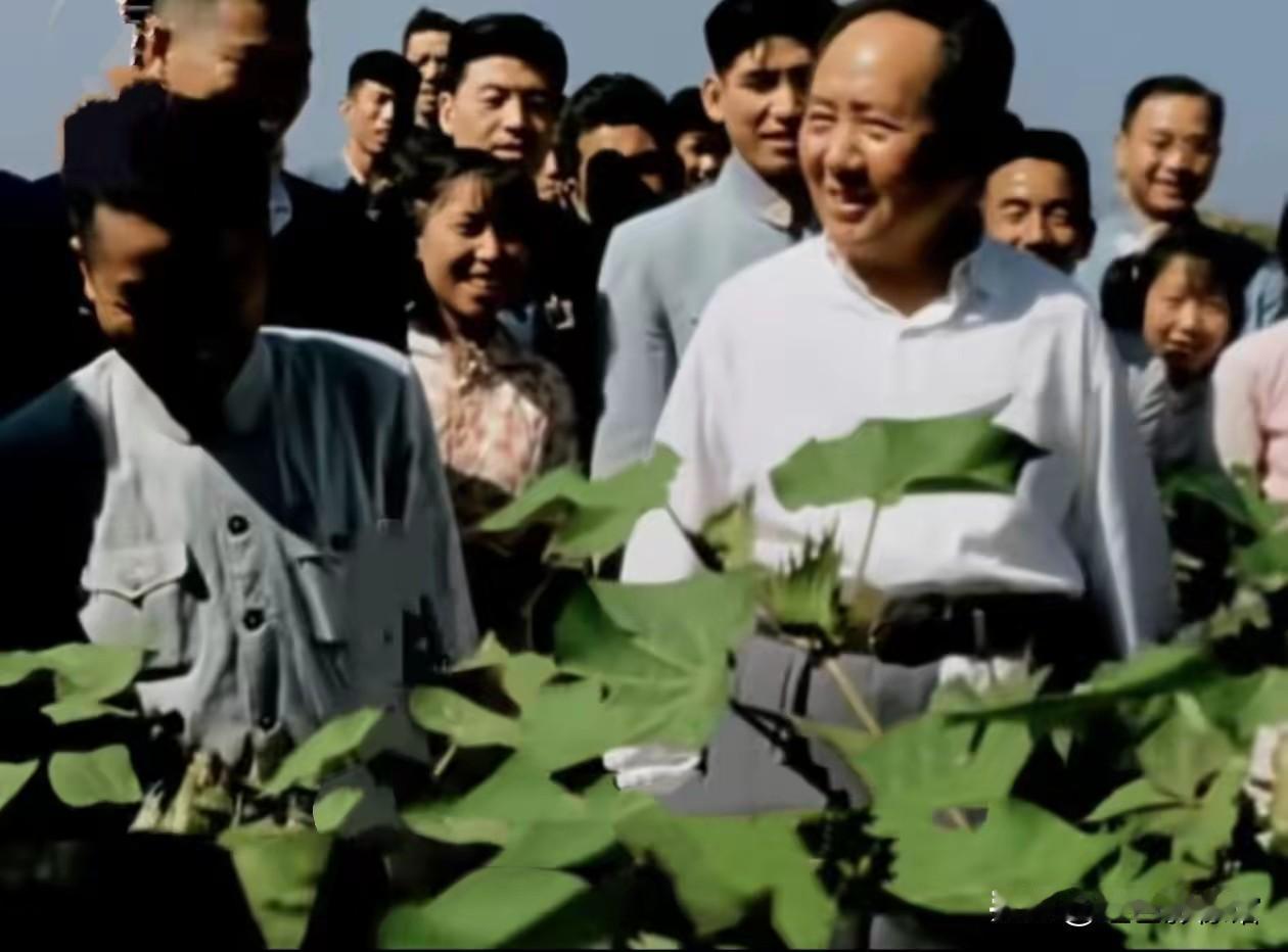 发自内心的自然拥戴