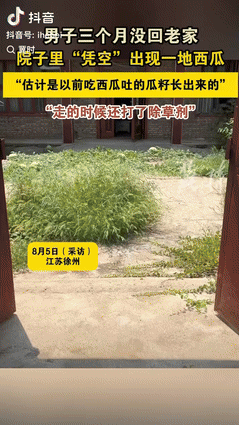 “走大运了！”江苏徐州，一男子时隔3个月回老家后，发现院子里“凭空”出现了一地西