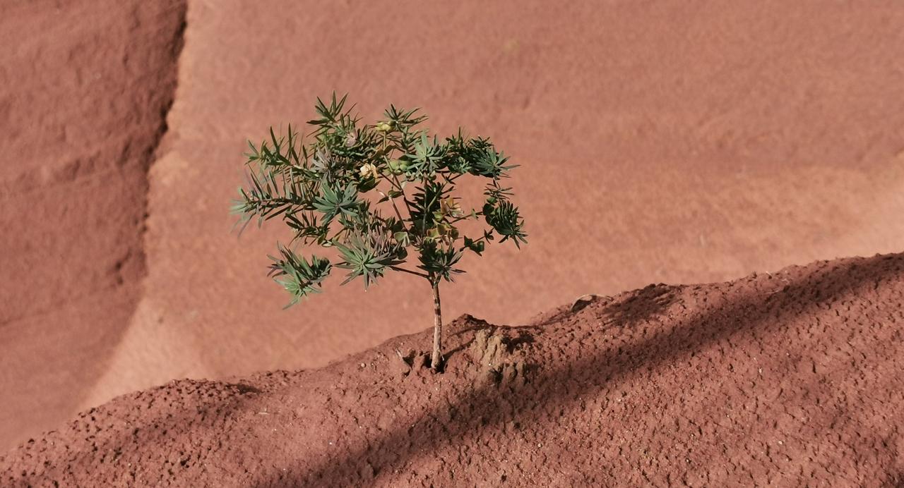 包产到户为什么产量高了?
第一，从理论上看，包产到户这种生产关系适应了当时我国的