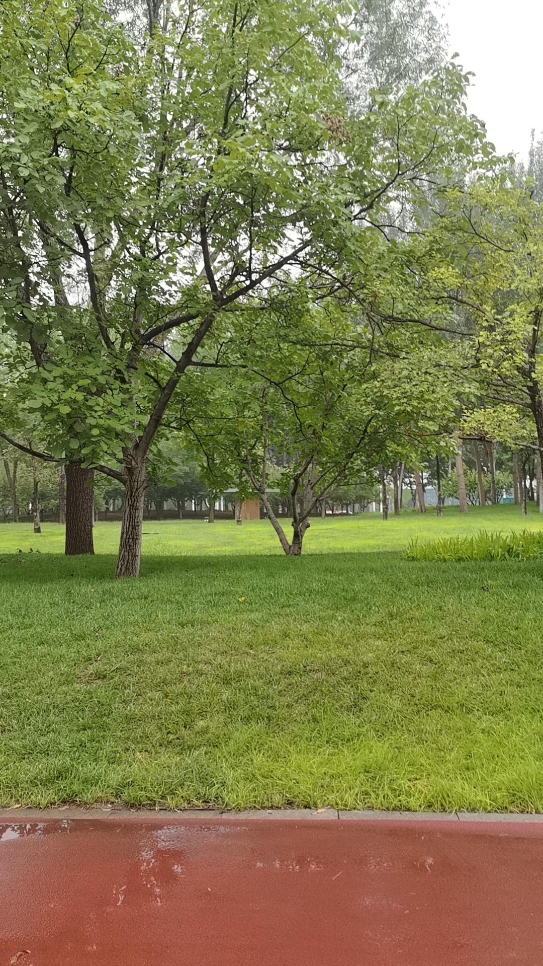 晒图笔记大赛夏日的公园静静的，只有鸟儿在呢喃，你哪里的居住环境还好吗？