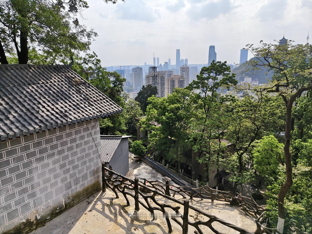 古塔掩映在绿树间，城市高楼在远处耸立。